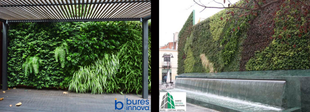 Buitensporig Corporation Schat Een hele muur als verticale tuin – Originele plantenbakken